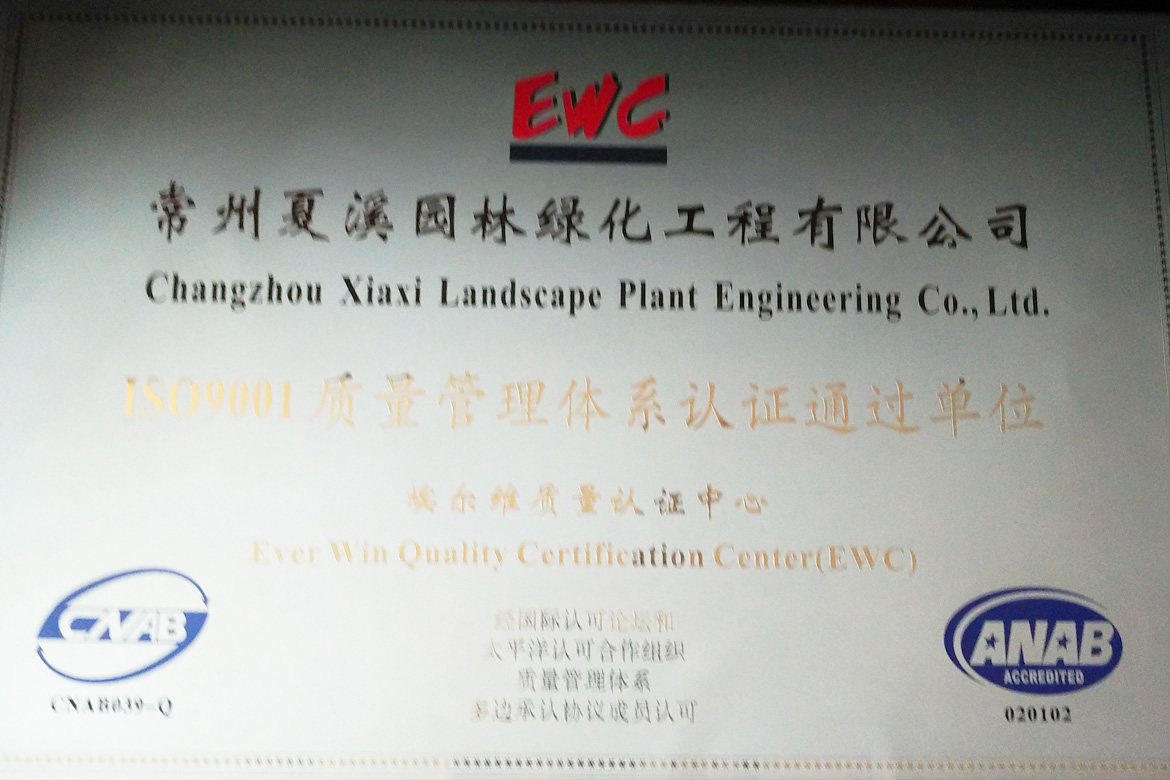 ISO9001|wϵJC